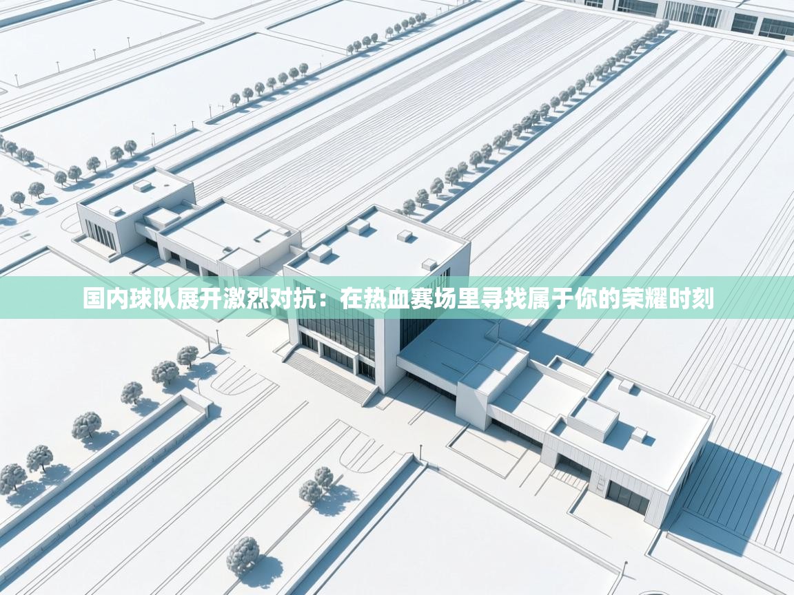 国内球队展开激烈对抗:在热血赛场里寻找属于你的荣耀时刻 第2张