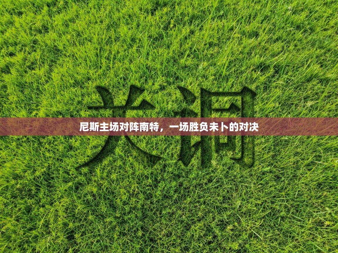 尼斯主场对阵南特，一场胜负未卜的对决  第1张