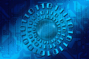 九游网页官网-大数据应用助力训练科学管理，大数据在训练管理中的应用