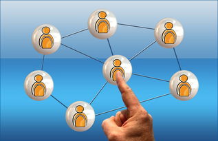 九游娱乐app下载-德国队与国际乒联混合团体世界杯赛制的互动与挑战，德国队乒乓